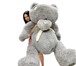 Изображение в Для детей Детские игрушки Этот плюшевый мишка Тедди ― самый большой в Москве 6 400
