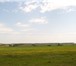 Изображение в Недвижимость Земельные участки Продается земельный участок с/х назначения, в Серпухове 80 000