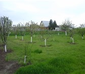 Фото в Недвижимость Иногородний обмен СРОЧНО! Продам дом (саман) на море в станице в Москве 1 600 000