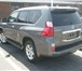 Новый без пробега LEXUS GX460, 2010 года, максимальная комплектация, цвет на выбор, Под заказ с 14666   фото в Магнитогорске