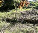 Foto в Недвижимость Земельные участки Участок 7,75 соток в садовом товариществе в Сочи 350 000