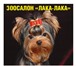 Изображение в Домашние животные Стрижка собак Зоосалон &quot; Лака- Лака&quot; предлагает в Барнауле 600