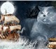 шотландский мраморный мальчик . Плюшевый