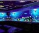 Фотография в Строительство и ремонт Дизайн интерьера Продажа с флуоресцентных (светящиеся) обоев, в Новороссийске 1 700
