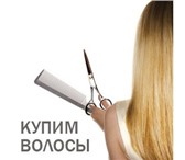 Фото в Красота и здоровье Салоны красоты Покупаем волосы в Челябинске!Длиной от 40 в Челябинске 30 000