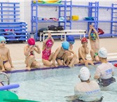 Foto в Спорт Спортивные школы и секции Хотите научить ребенка плаванию, помочь преодолеть в Москве 0