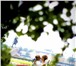 Фото в Развлечения и досуг Организация праздников Свадебная  фотосъемка.1.Репорта жная,постановочная в Санкт-Петербурге 0