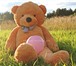 Foto в Для детей Детские игрушки Плюшевый медведь - 2 метра в Петрозаводске 3 999