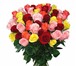 Foto в Прочее,  разное Разное Акции и скидки на розы !- 25 роз  (крупный в Уфе 1 200