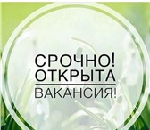 Изображение в Работа Работа на дому Приглашаю всех, заинтересованных получить в Москве 0