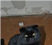 Foto в Домашние животные Вязка черный кот 1,5 лет приглашает кошку любой в Рязани 500