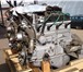 Foto в Авторынок Автозапчасти Двигатель ЗМЗ 421 новый первой комплектации в Москве 100