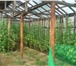 Изображение в Недвижимость Продажа домов Краснокамск (все по новой дороге),  станция в Перми 650 000
