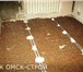 Foto в Строительство и ремонт Ремонт, отделка Выравнивание полаДемонтаж деревянного пола в Омске 100
