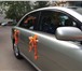 Фото в Развлечения и досуг Организация праздников Украшение на капот, украшение на двери 4 в Краснодаре 1 000