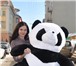 Изображение в Для детей Детские игрушки Огромная милая плюшевая панда, Снежана. Панда в Санкт-Петербурге 5 590